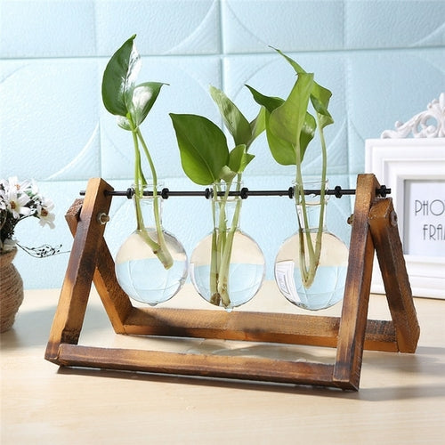 Glass and Wood Vase Planter Terrarium Table Desktop Hydroponics Plant - Almondscove