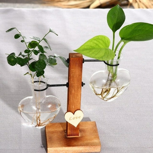 Glass and Wood Vase Planter Terrarium Table Desktop Hydroponics Plant - Almondscove