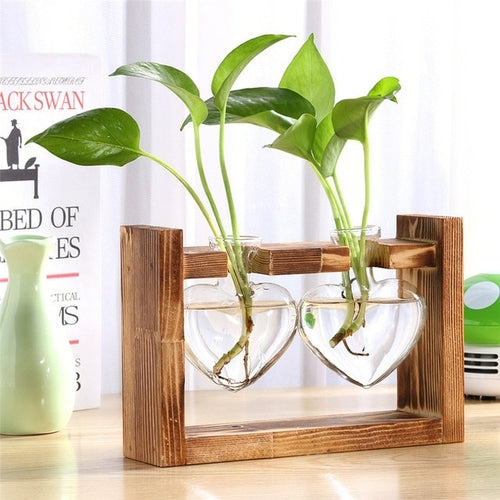 Glass and Wood Vase Planter Terrarium Table Desktop Hydroponics Plant - Almondscove