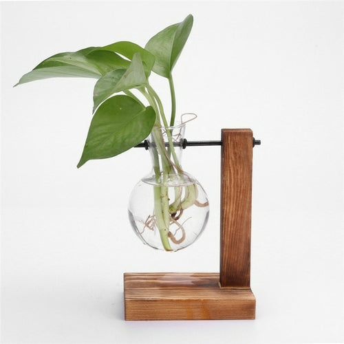 Glass and Wood Vase Planter Terrarium Table Desktop Hydroponics Plant - Almondscove